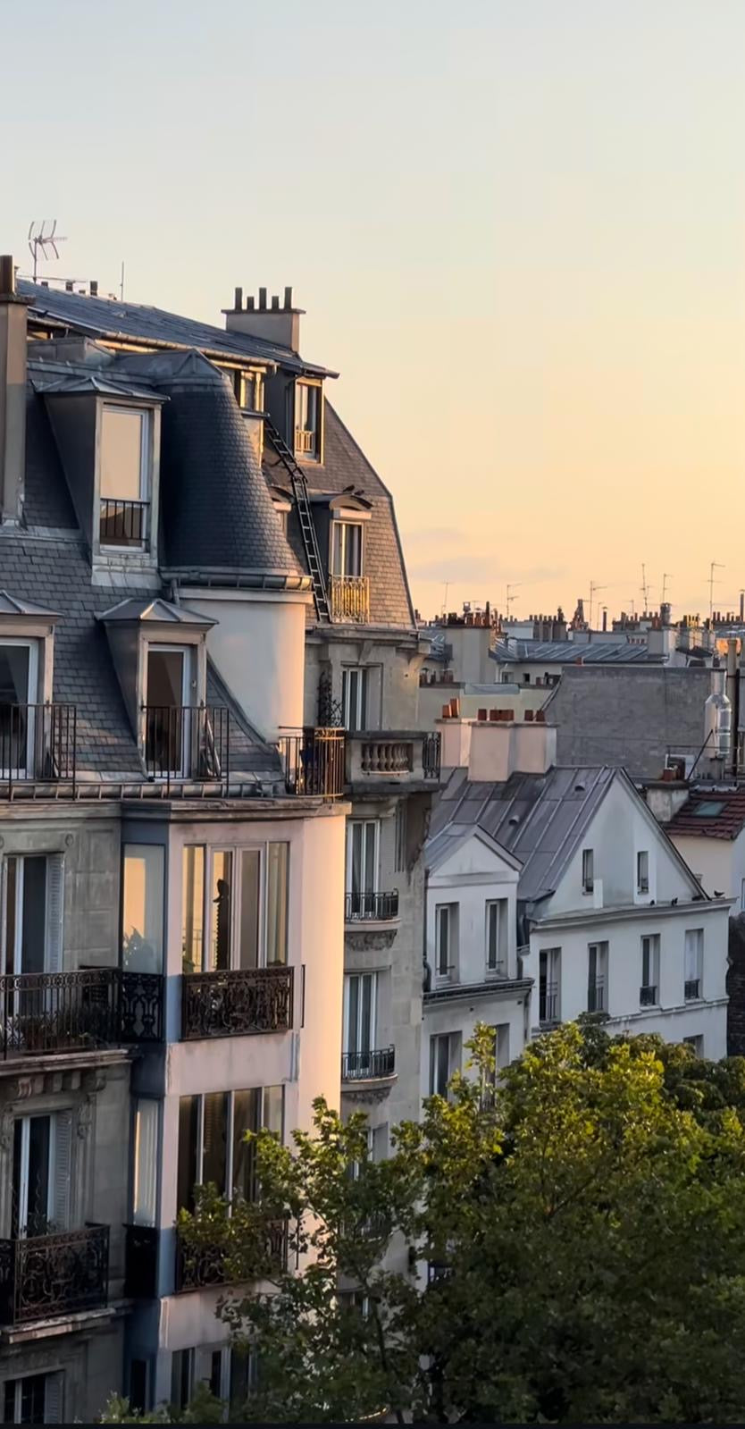 2025 Spring New Collection