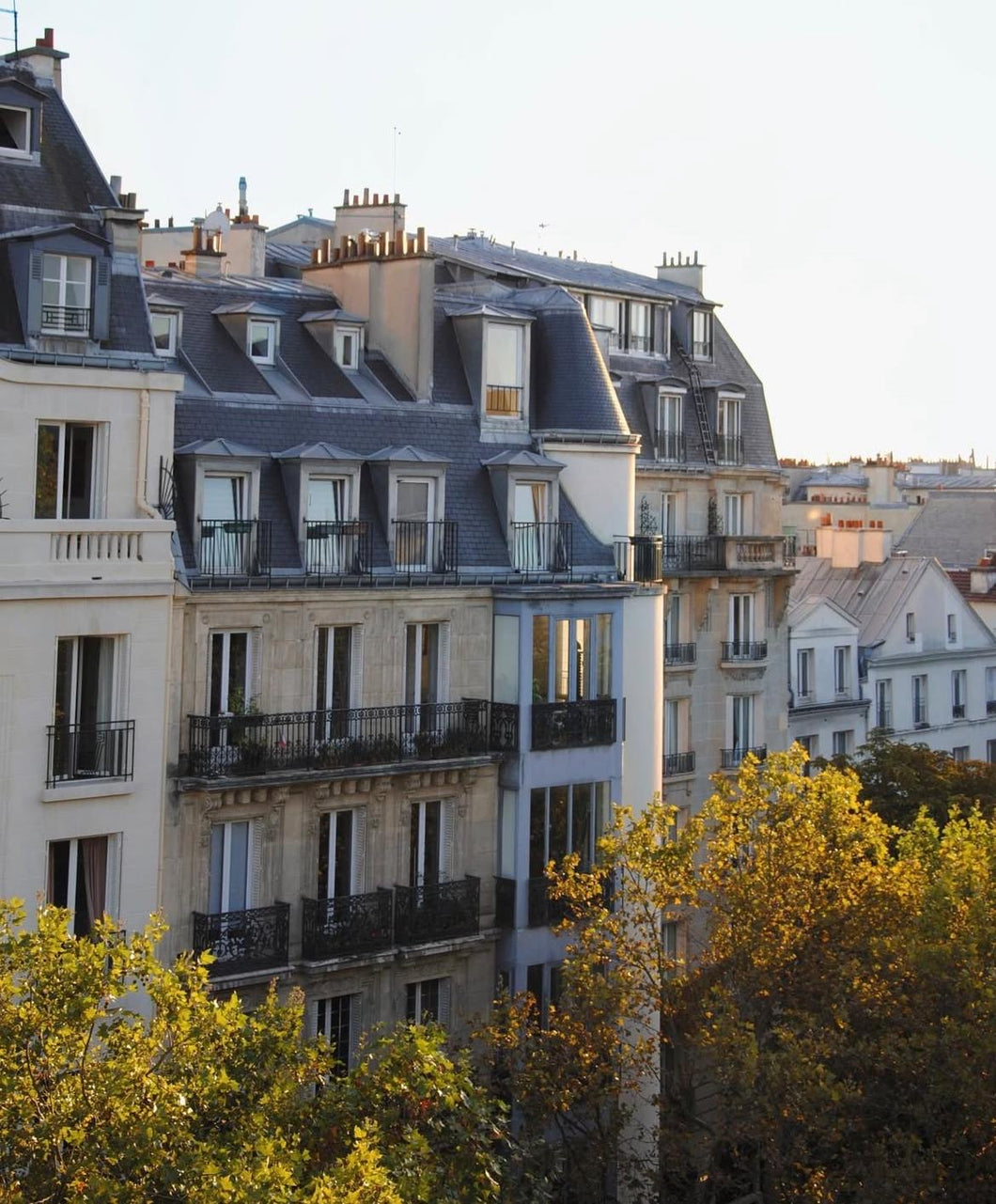 2024 Winter New Collection