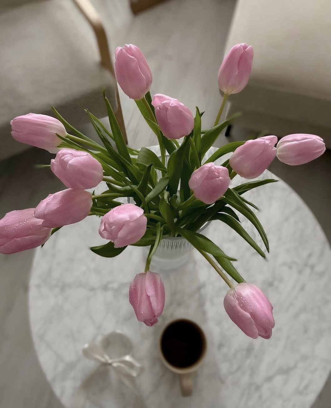 2024 Spring Collection