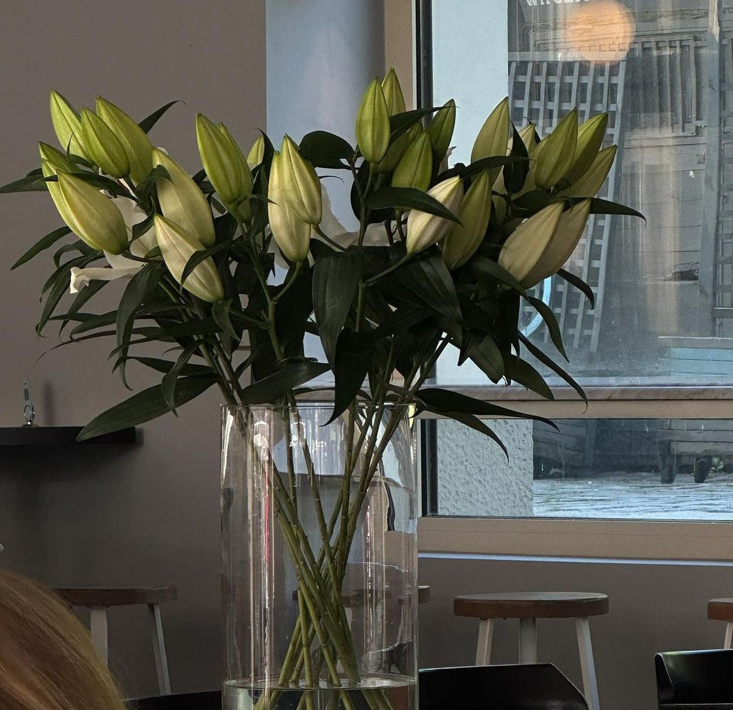 2023 Summer Collection