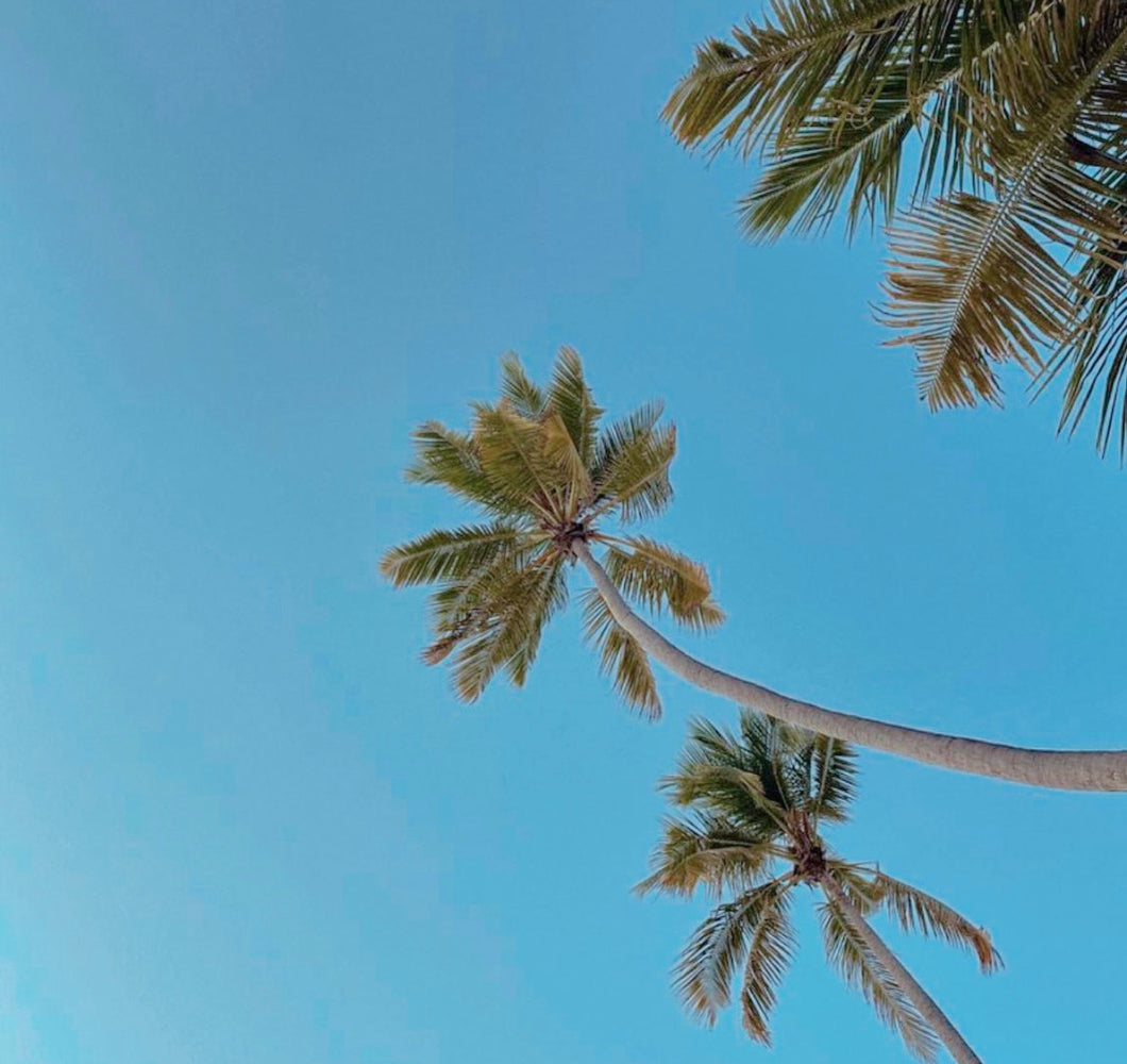 2023 Summer Sale Collection