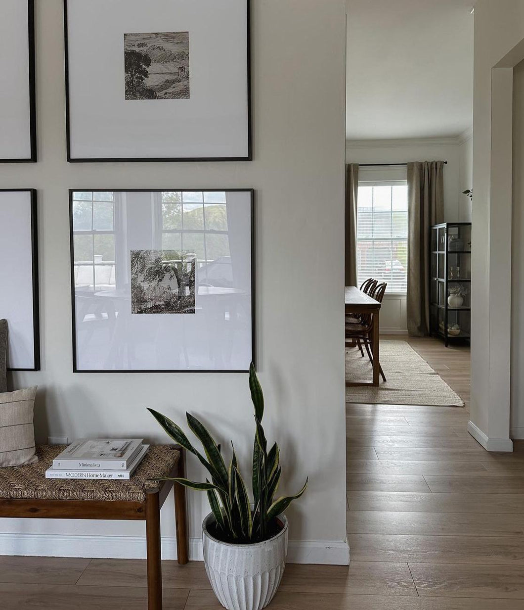 2023 Summer Collection