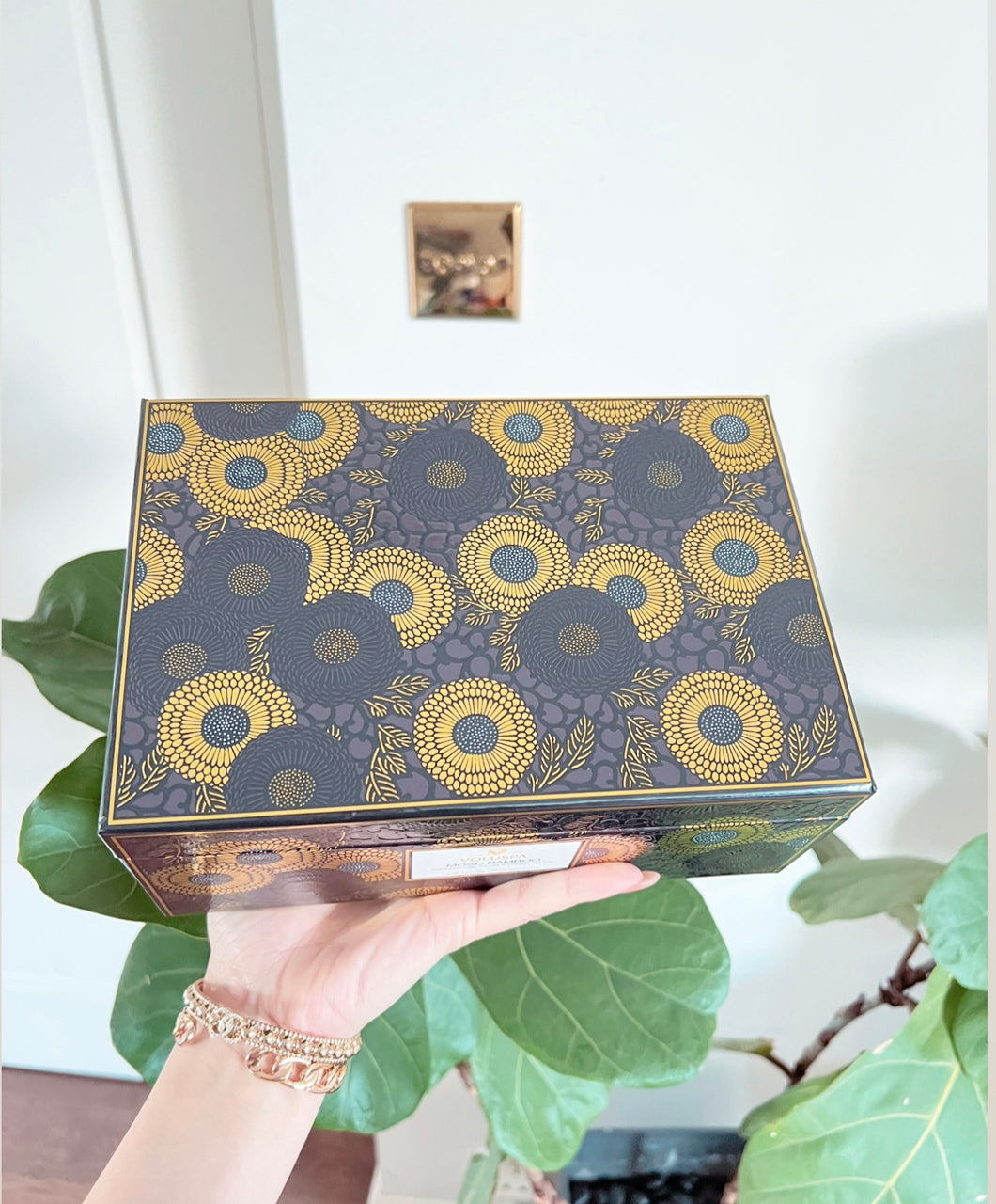 2023 Summer Collection