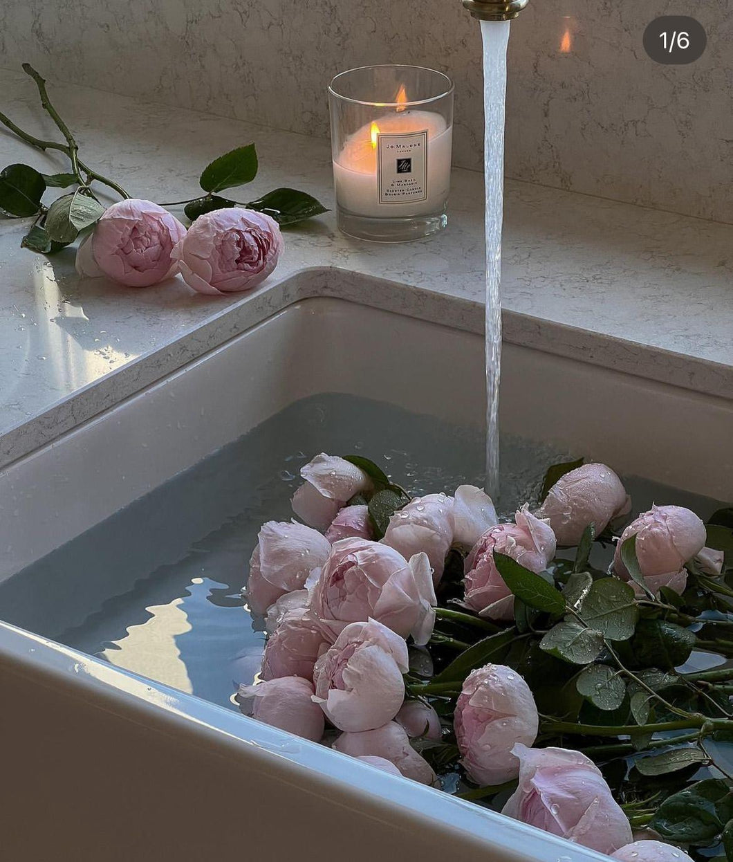 2024 Spring Collection