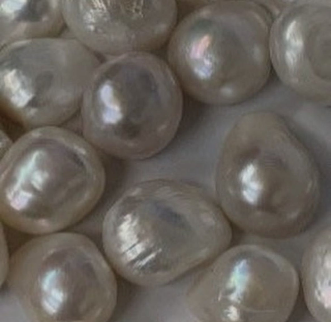 2024 Spring Collection