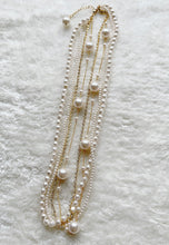 將圖片載入圖庫檢視器 ACG0009
