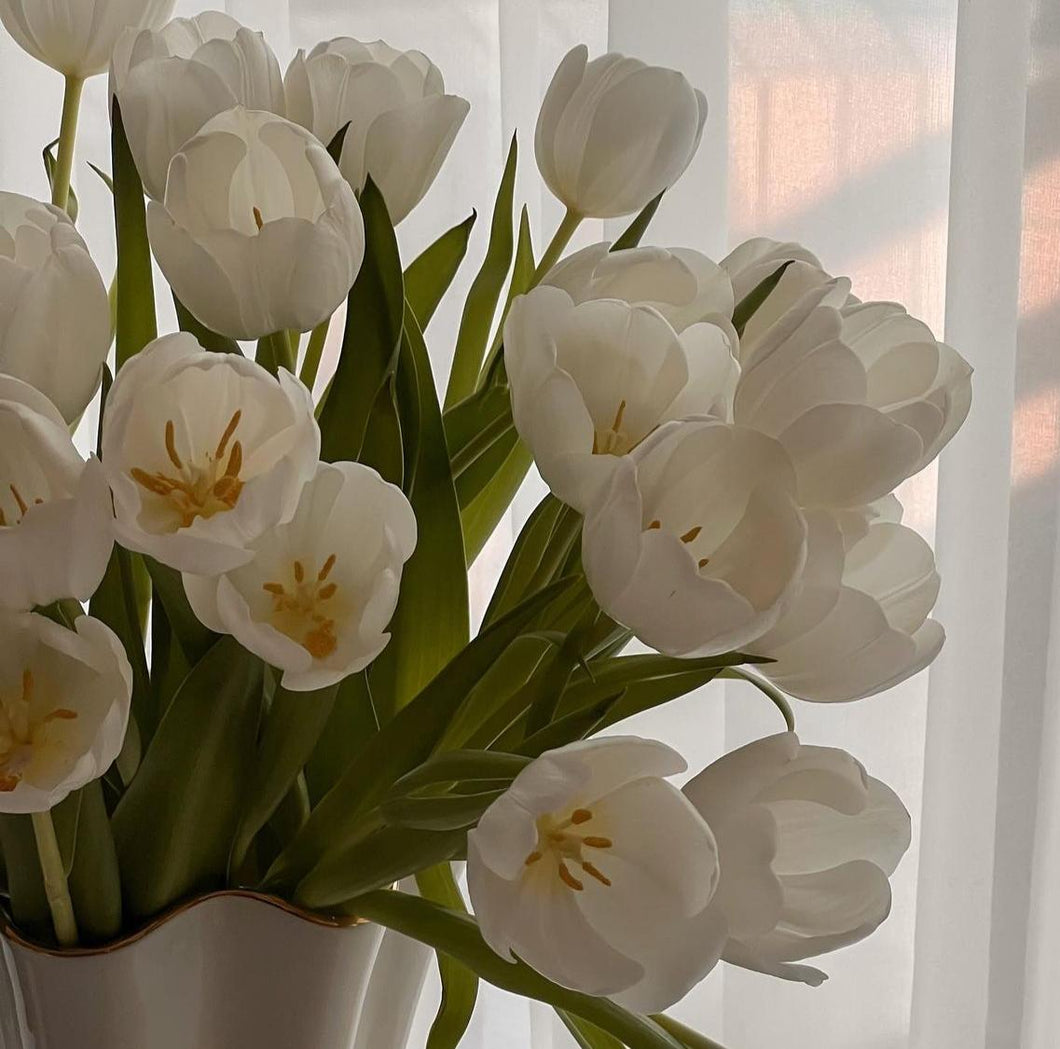 2023 Sping Collection