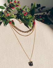 將圖片載入圖庫檢視器 AC050989.
