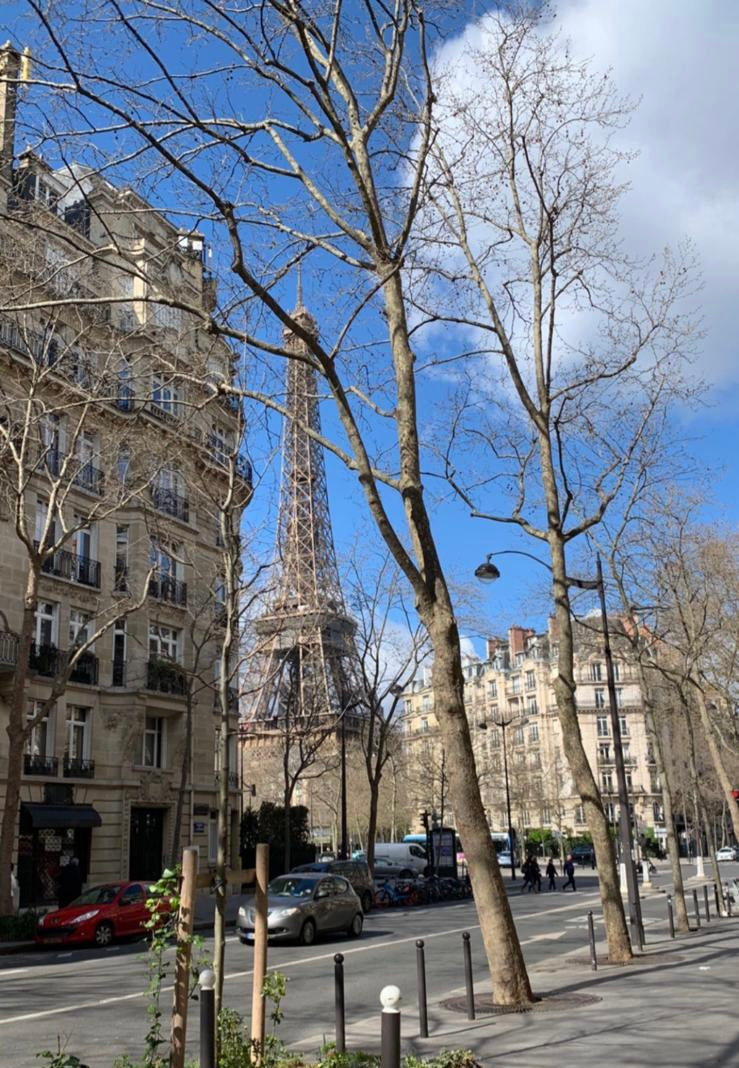 2023 Summer Collection