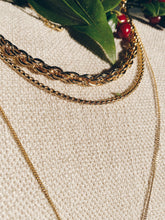 將圖片載入圖庫檢視器 AC050989.
